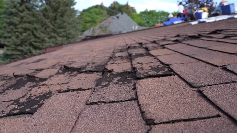 4 Ply Roofing in Hurley, MS